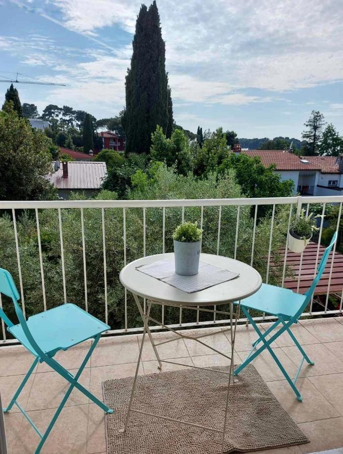 Kate Apartment Rovinj Eksteriør bilde
